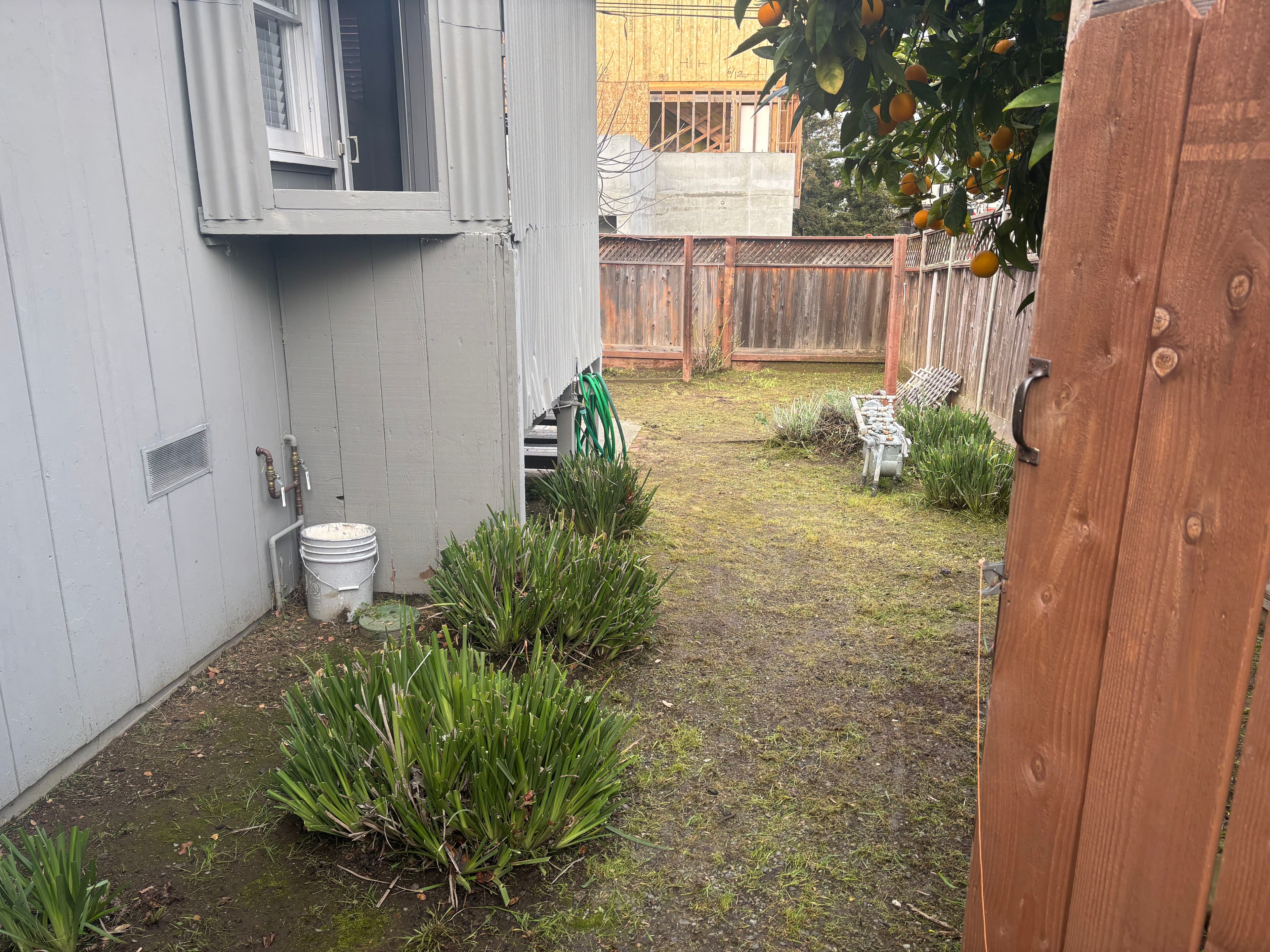 Project Garden Revival for a New Season image