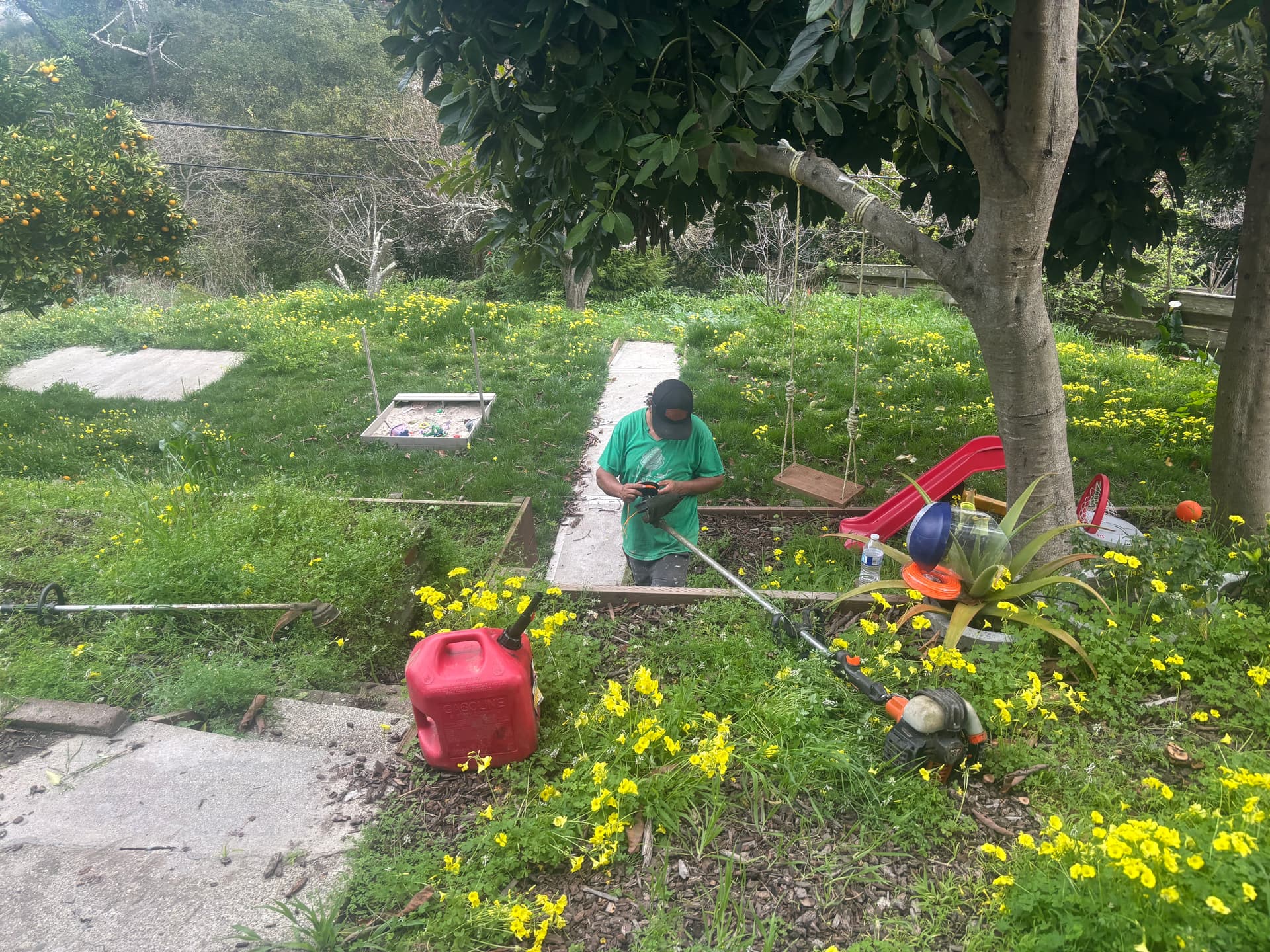 Backyard Makeover at Its Best image