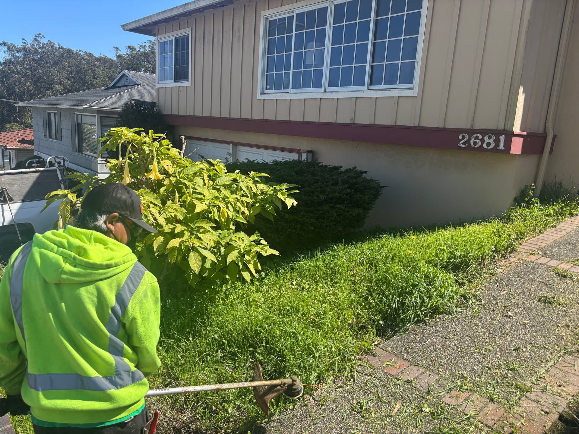 Overgrown to Amazing Curb Appeal image