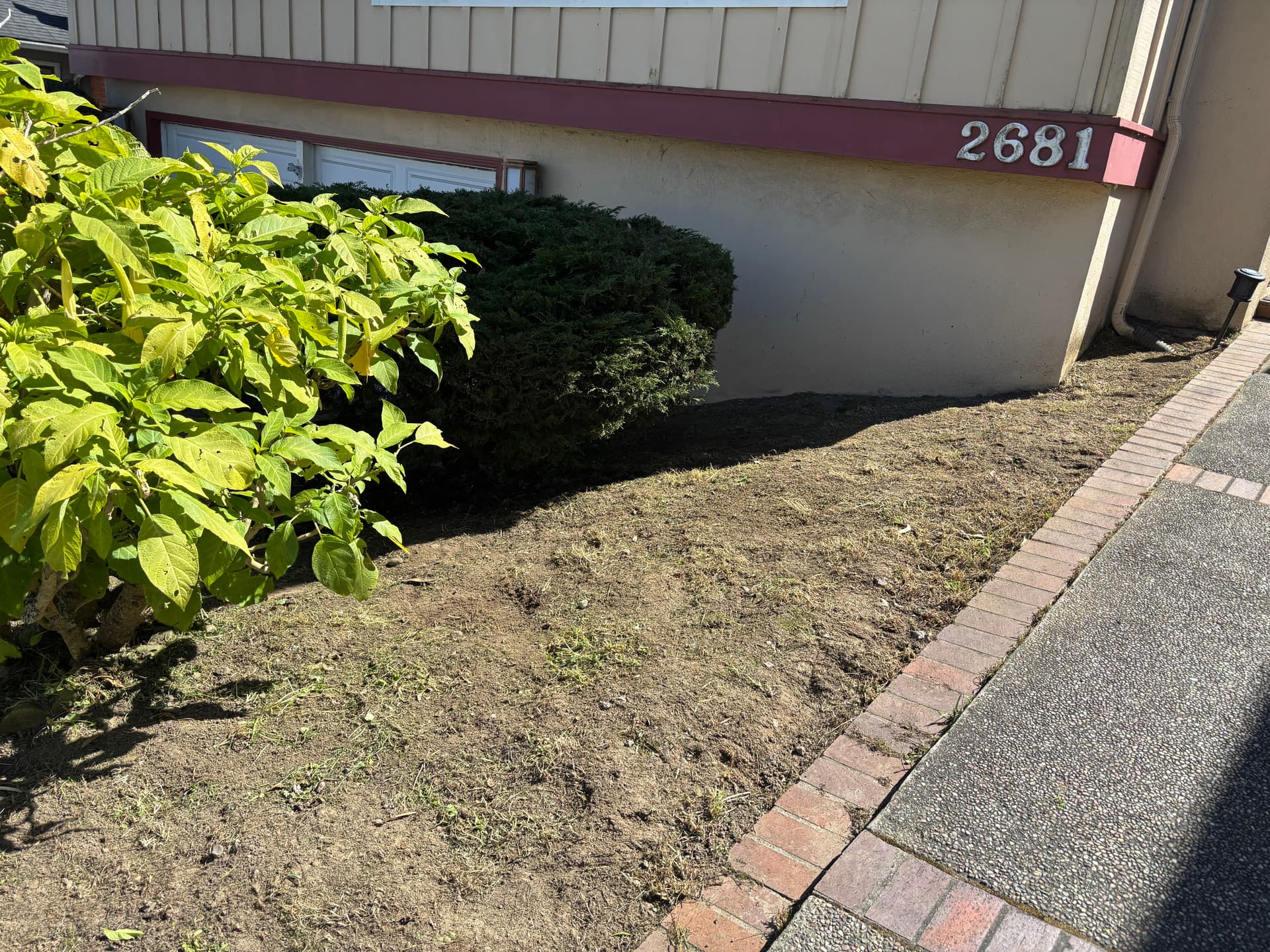 Gallery photos for Overgrown to Amazing Curb Appeal: Image #2