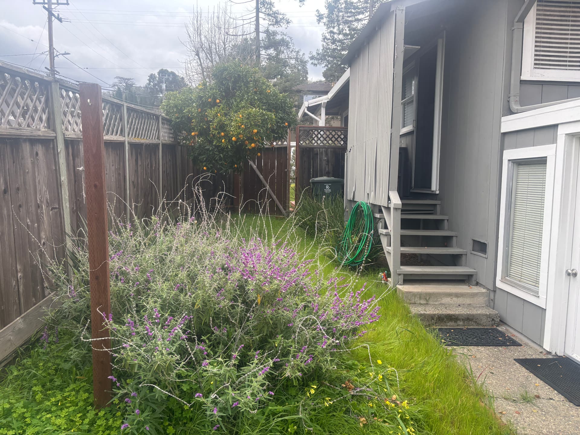 Gallery photos for Garden Revival for a New Season: Image #2