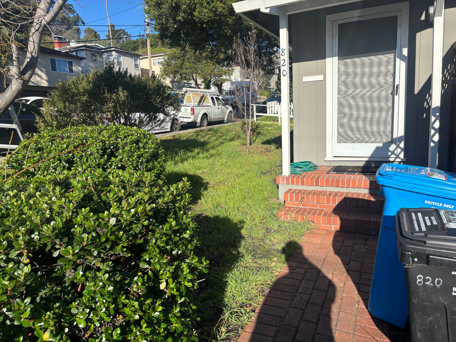 Gallery photos for Neighborhood Landscaping and Clean-Up Service: Image #1