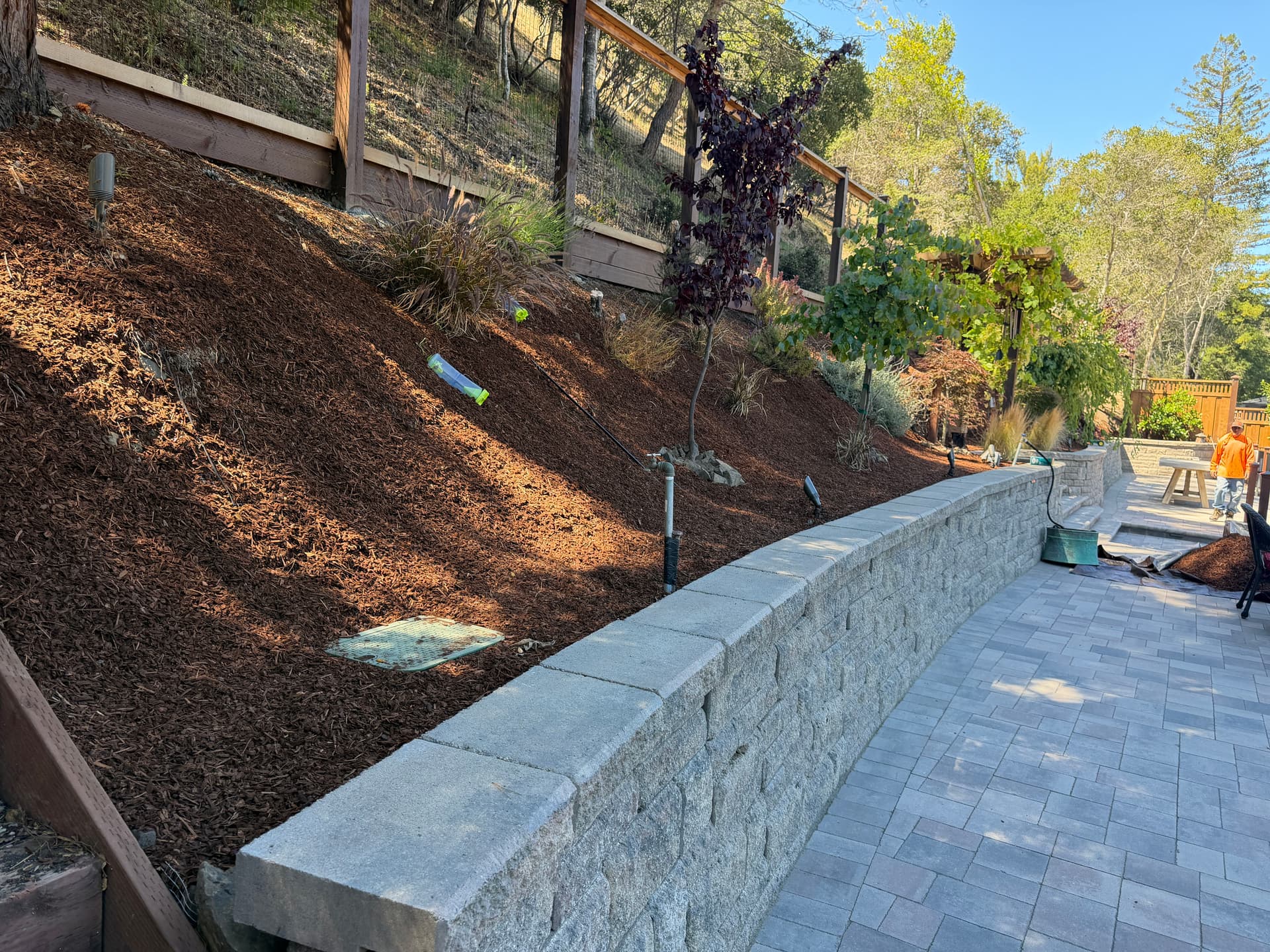 Slope Refresh With Fresh Soil, Bark, and Gopher Wire