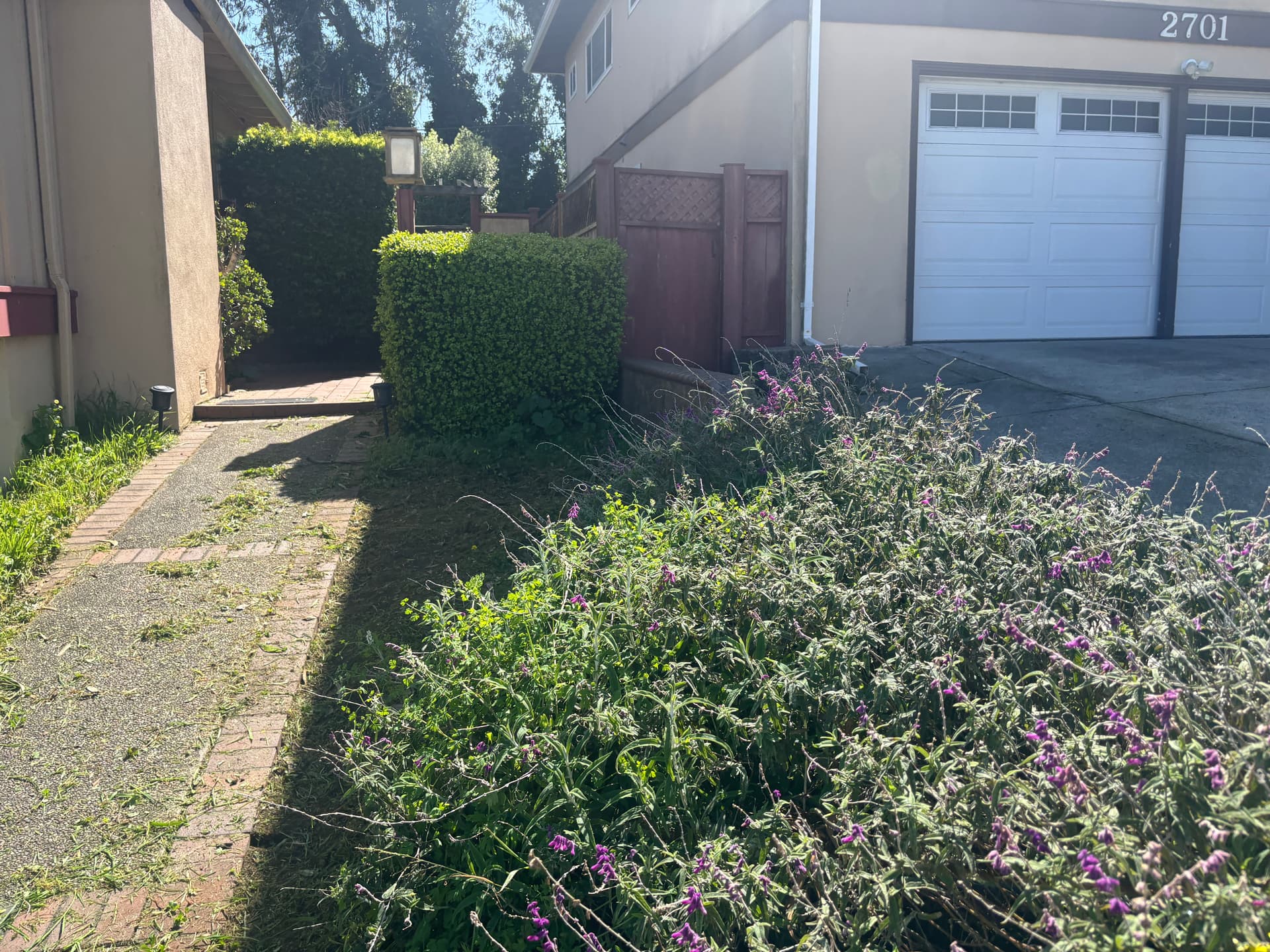 Gallery photos for Overgrown to Amazing Curb Appeal: Image #1