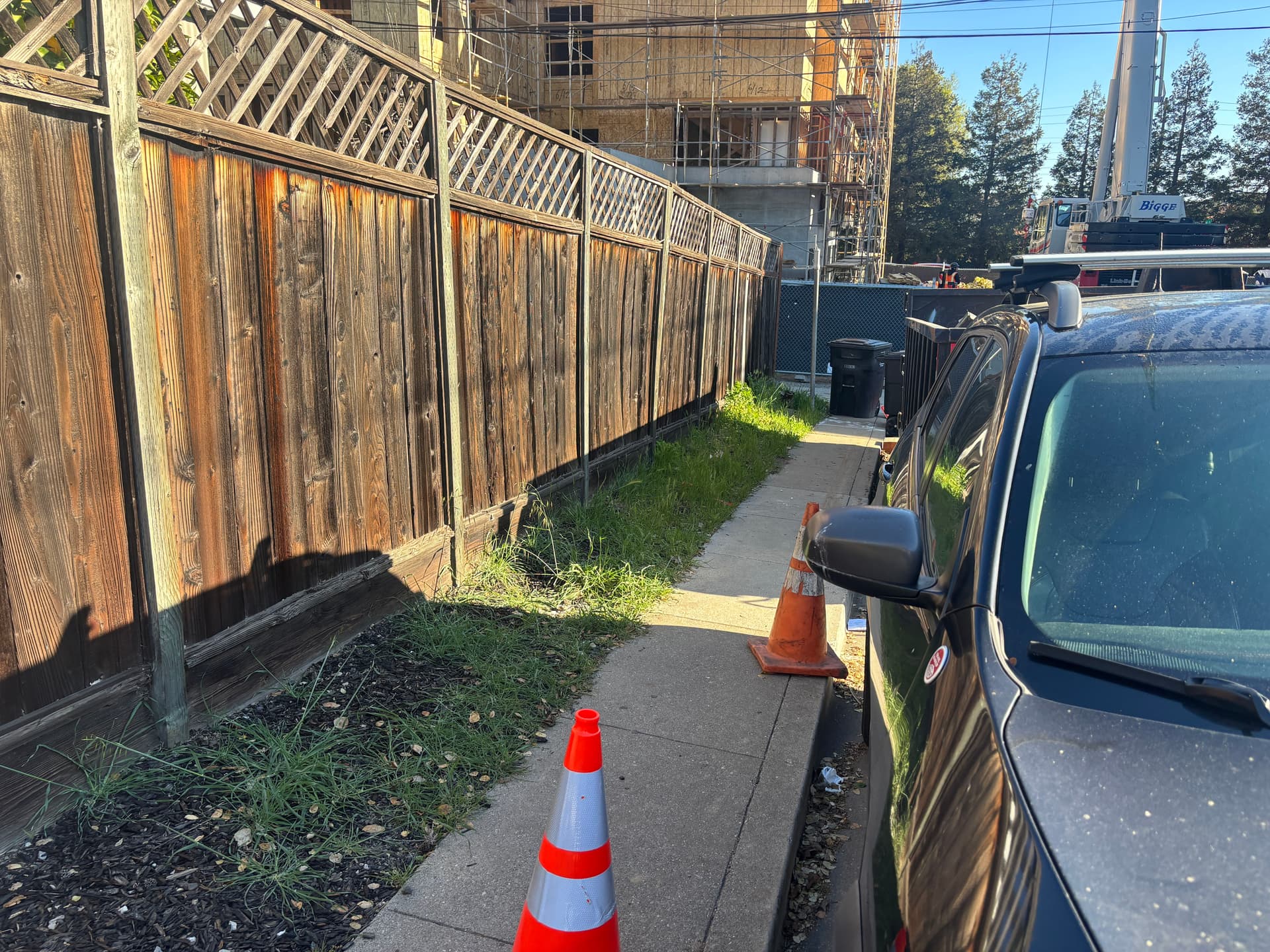 Gallery photos for Neighborhood Landscaping and Clean-Up Service: Image #3