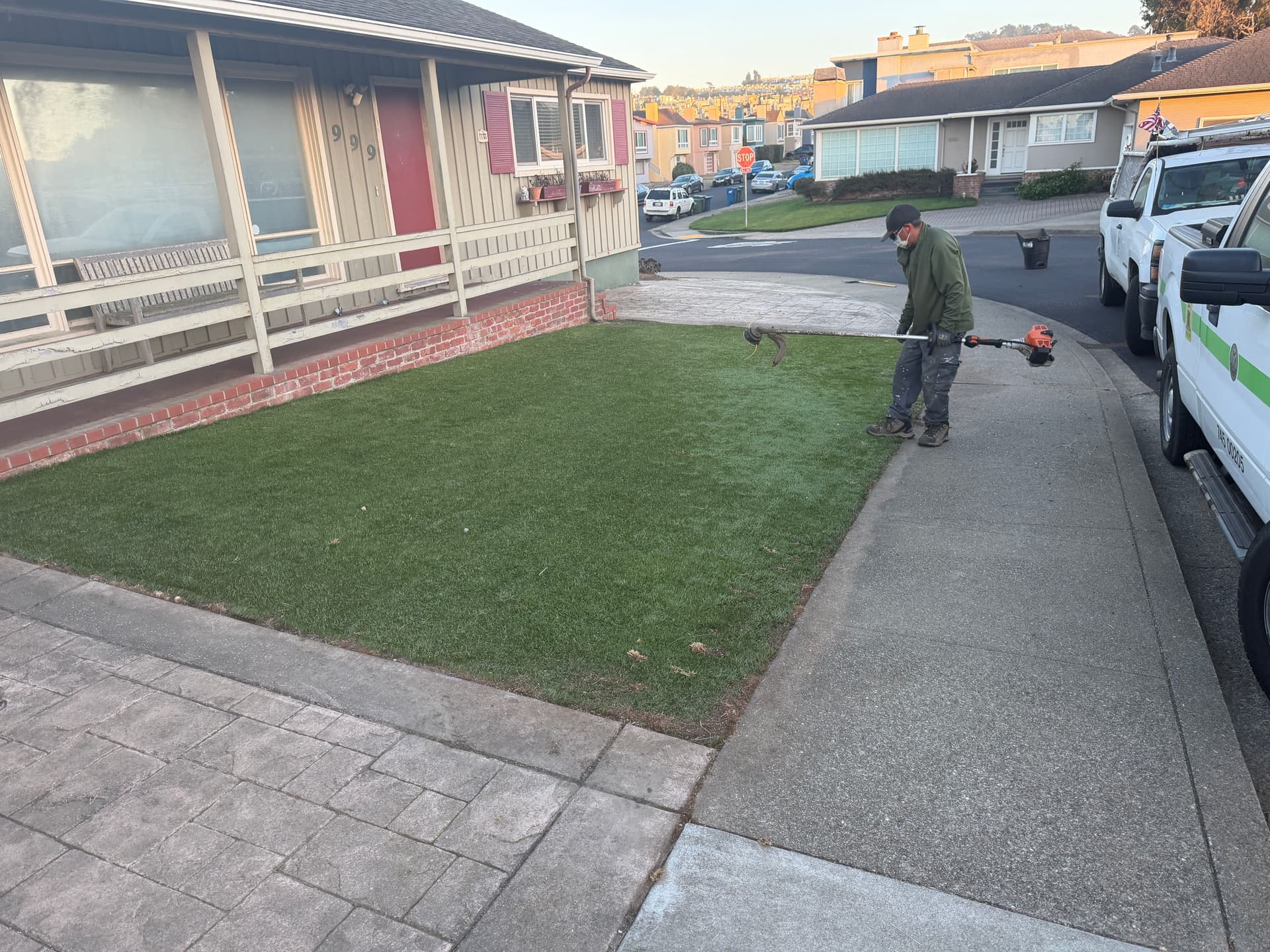 Gallery photos for Weed Cleanup on a Residential Artificial Grass Yard: Image #2