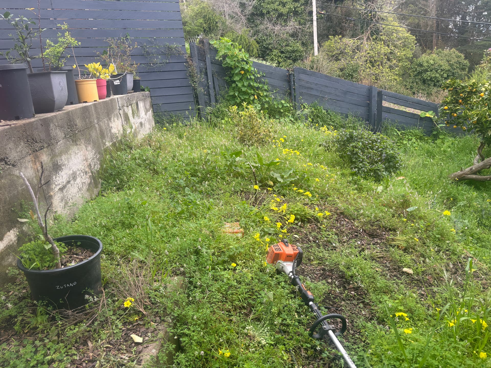 Gallery photos for Backyard Makeover at Its Best: Image #2