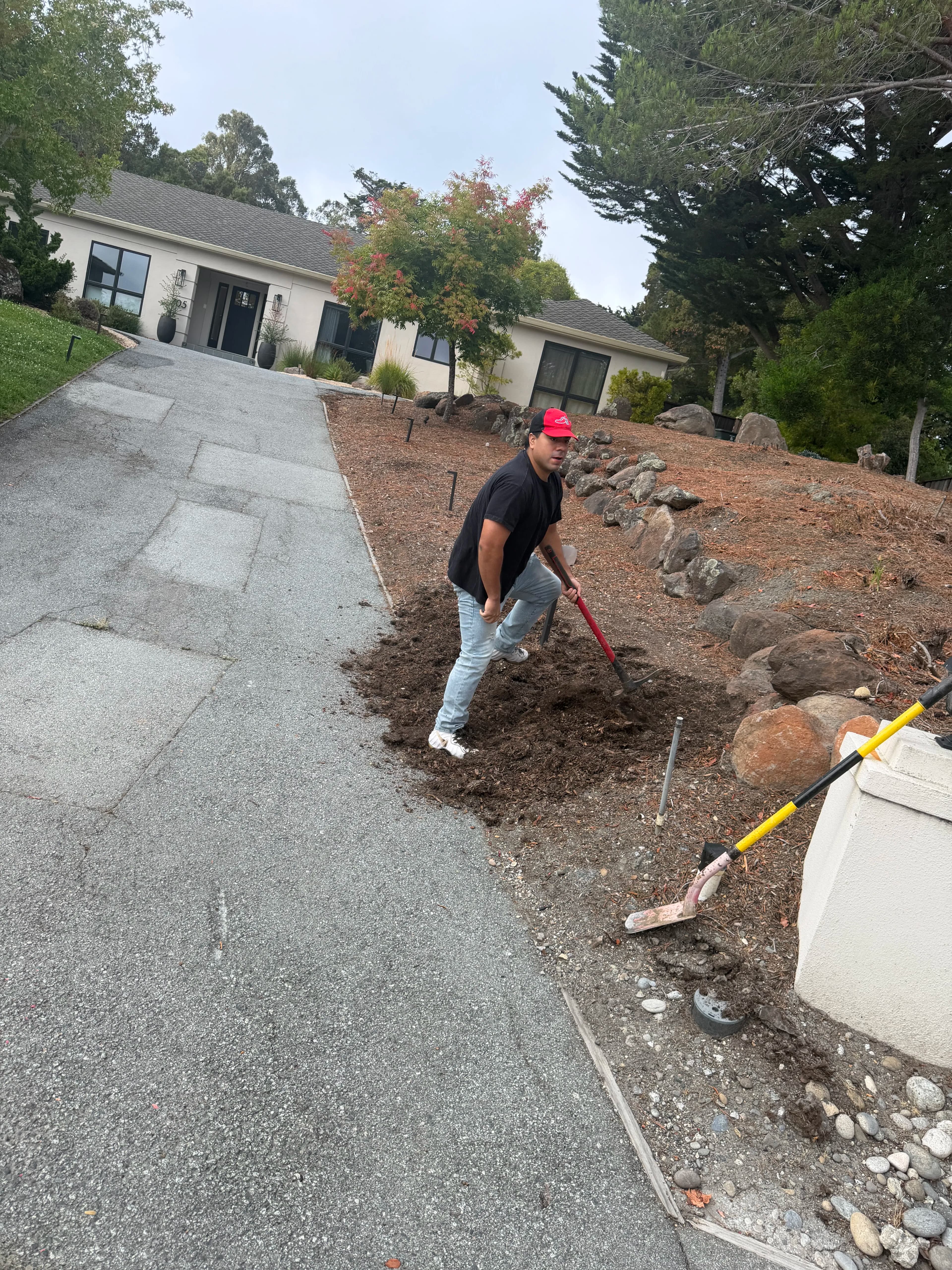Project New Lawn Installation With Irrigation and Gopher Wire image