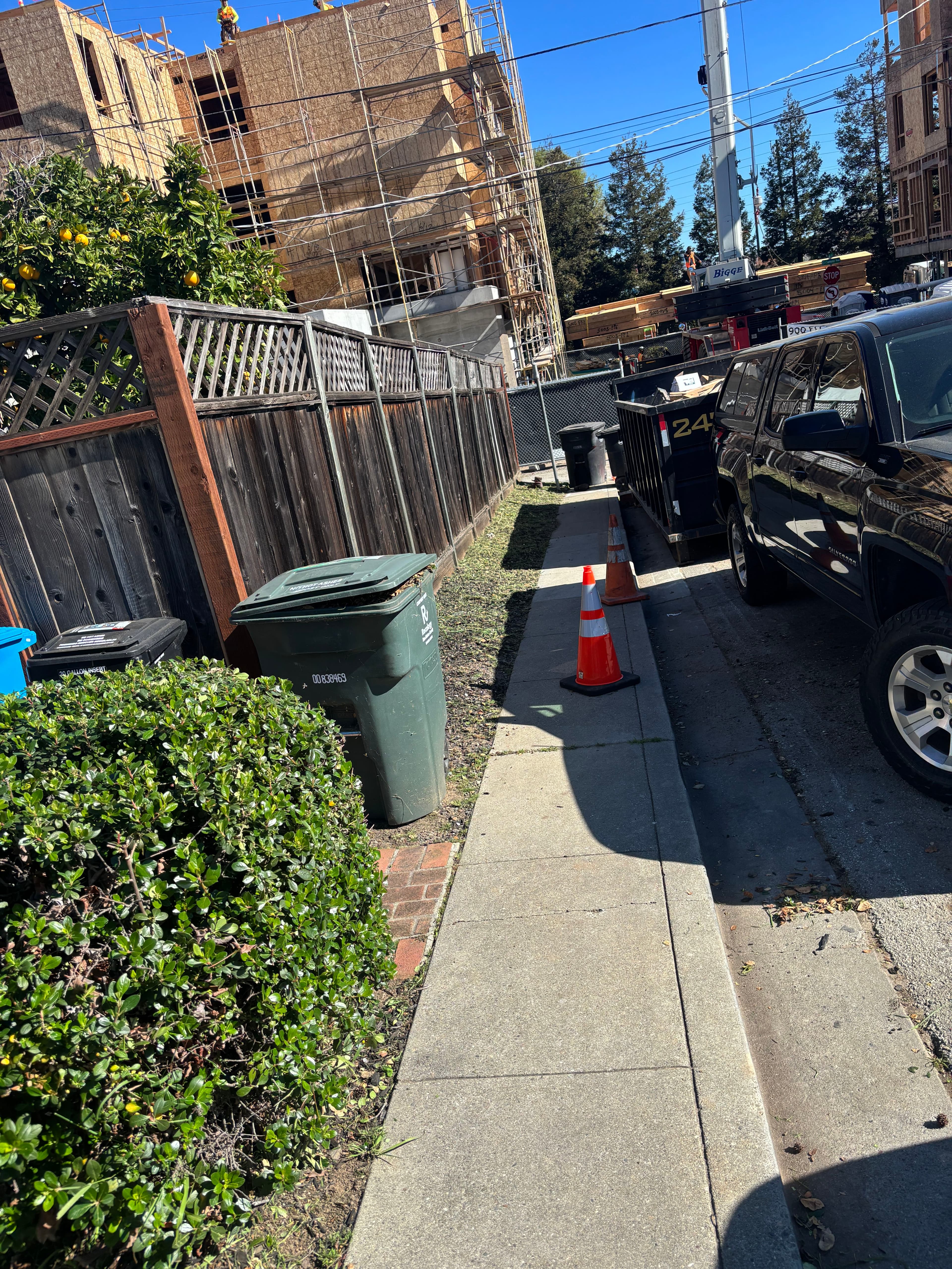 Project Neighborhood Landscaping and Clean-Up Service image