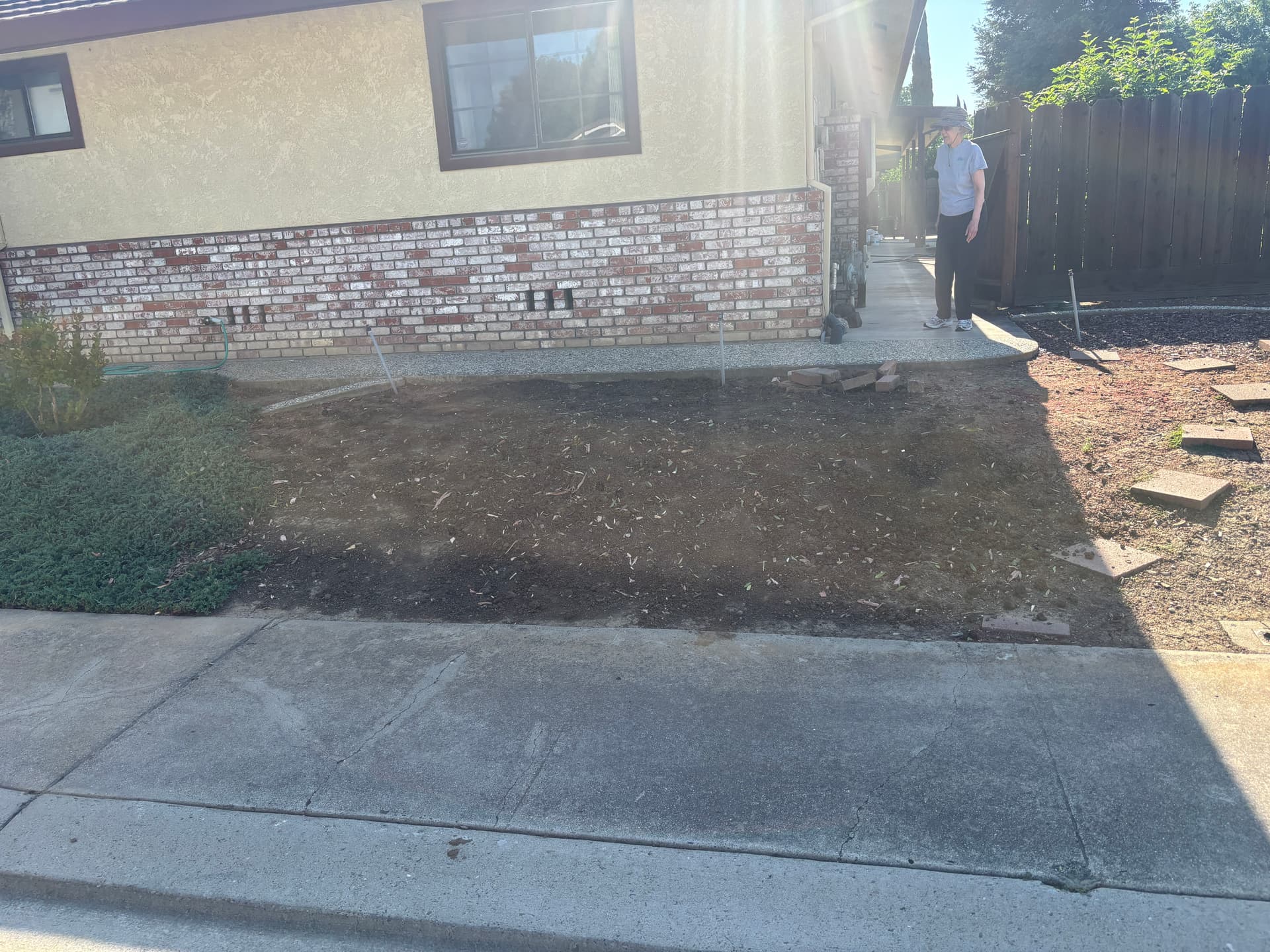 Gallery photos for Bottlebrush Tree Removed Root and All from This Front Yard: Image #2