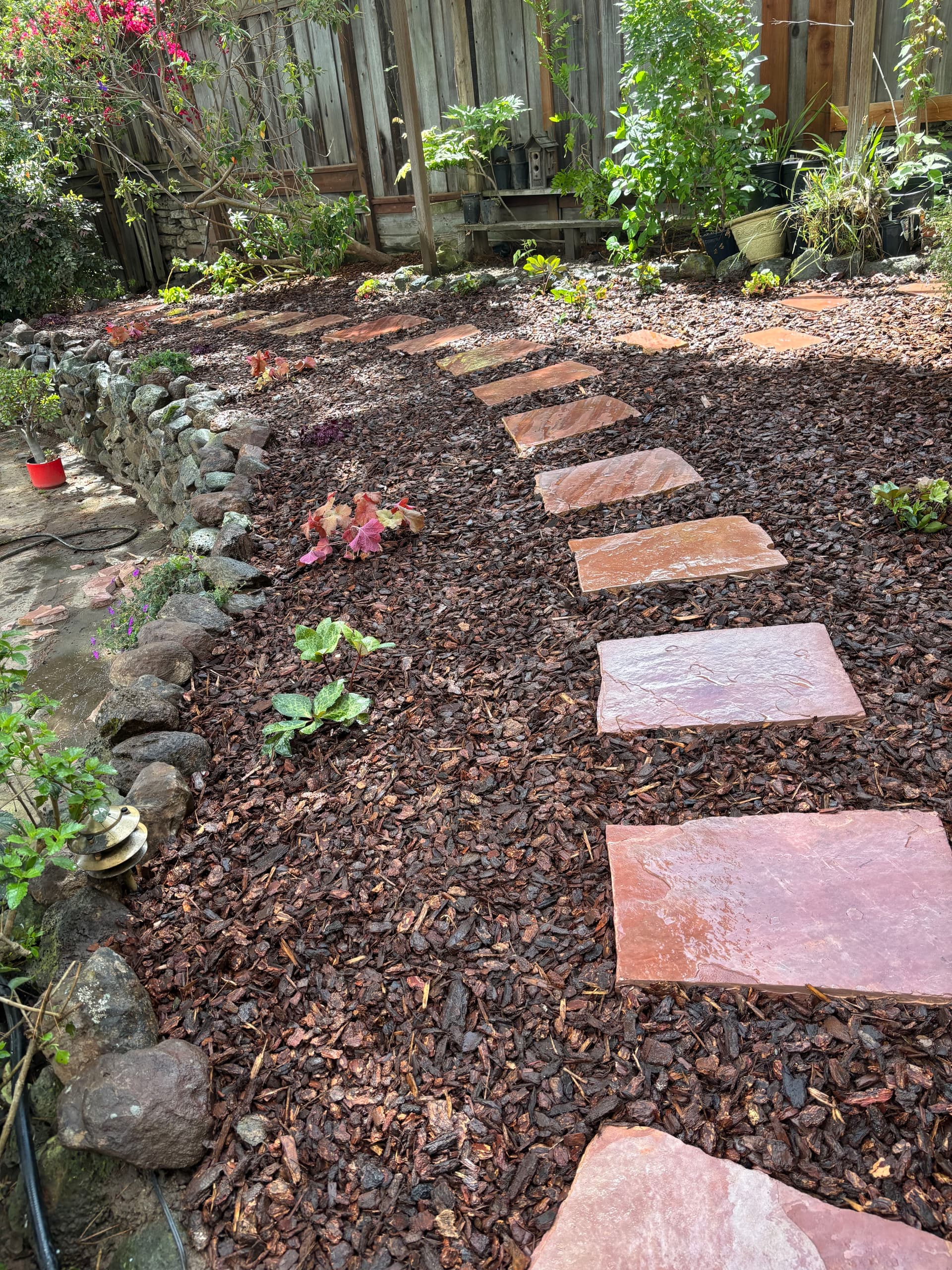 Gallery photos for Garden Overhaul With Flagstone Path New Mulch and Irrigation: Image #3