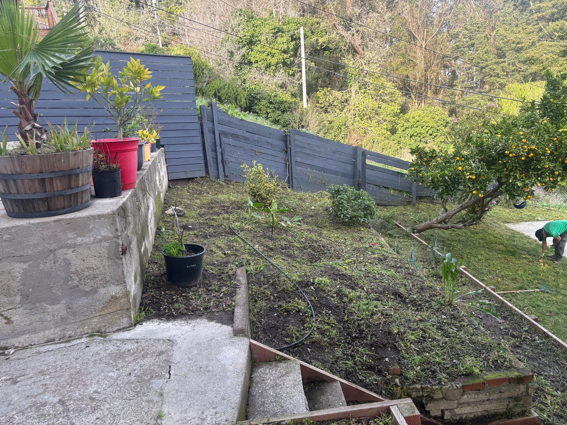 Gallery photos for Backyard Makeover at Its Best: Image #3