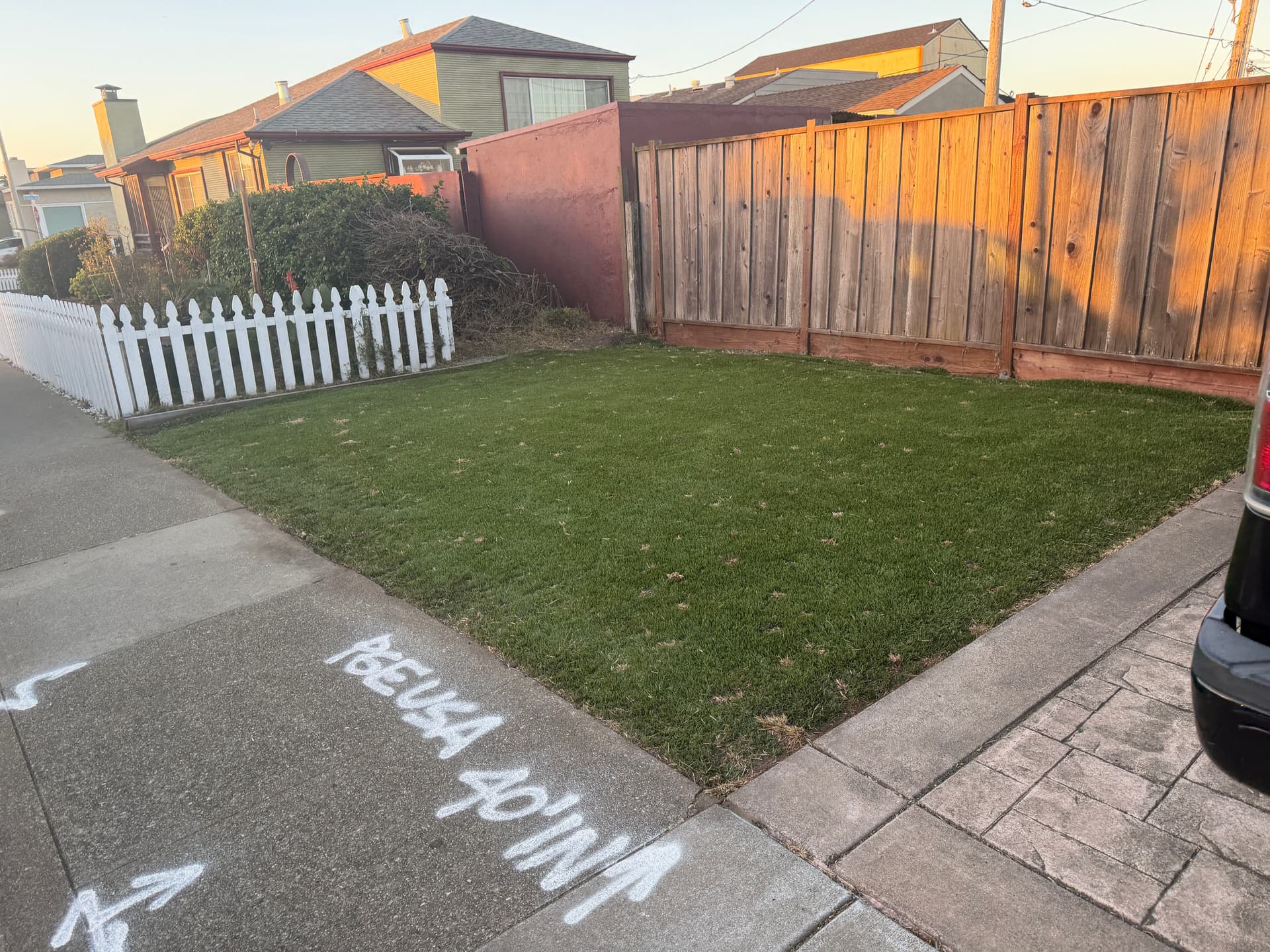 Gallery photos for Weed Cleanup on a Residential Artificial Grass Yard: Image #3