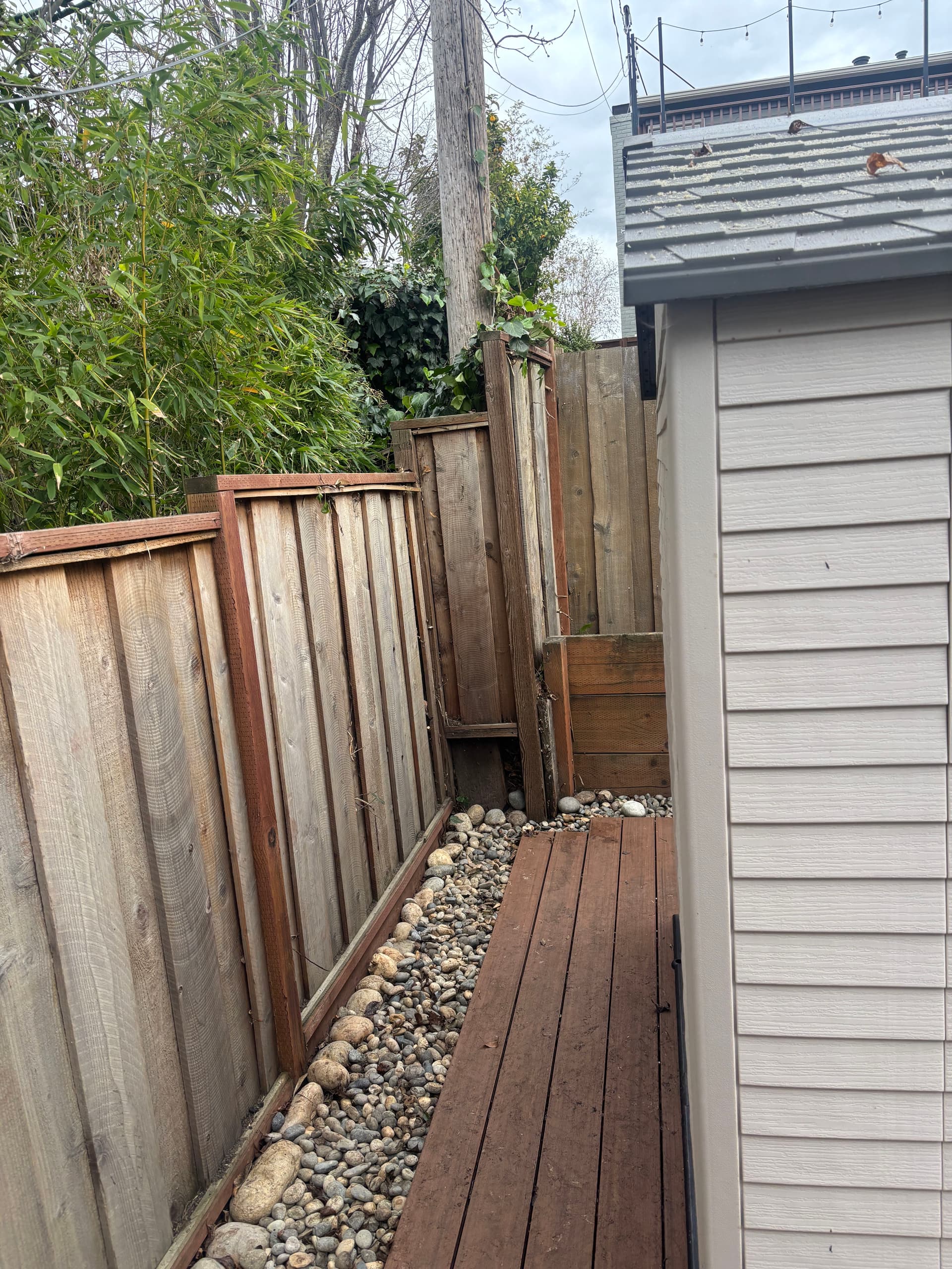 Gallery photos for Side Yard Makeover with Expert Tree Trimming and Path Clearing: Image #1