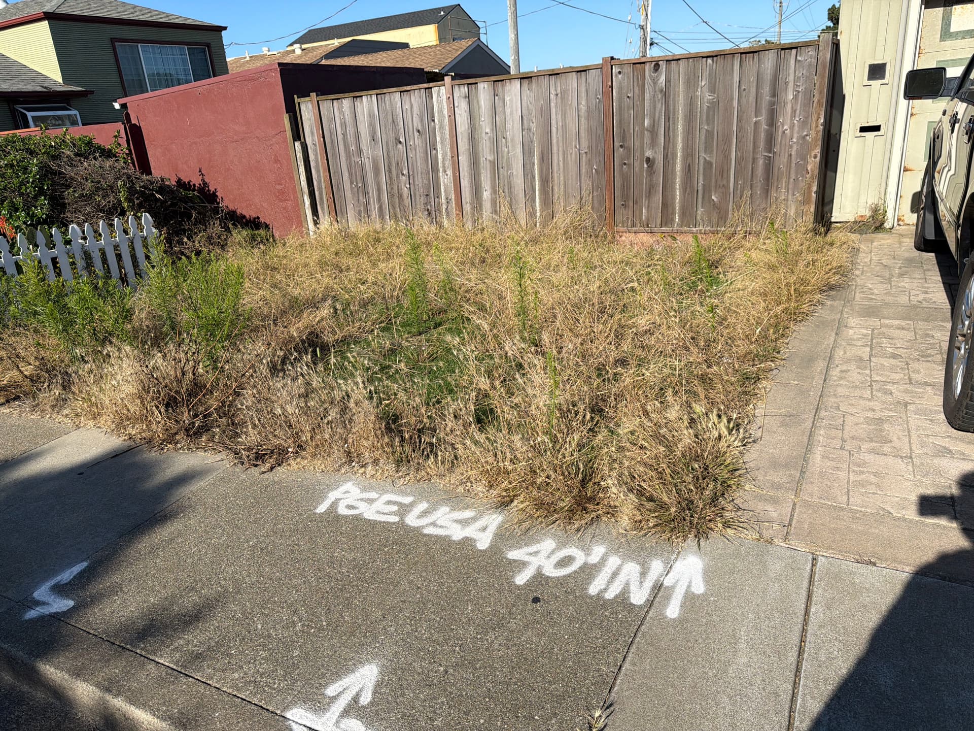 Gallery photos for Weed Cleanup on a Residential Artificial Grass Yard: Image #1