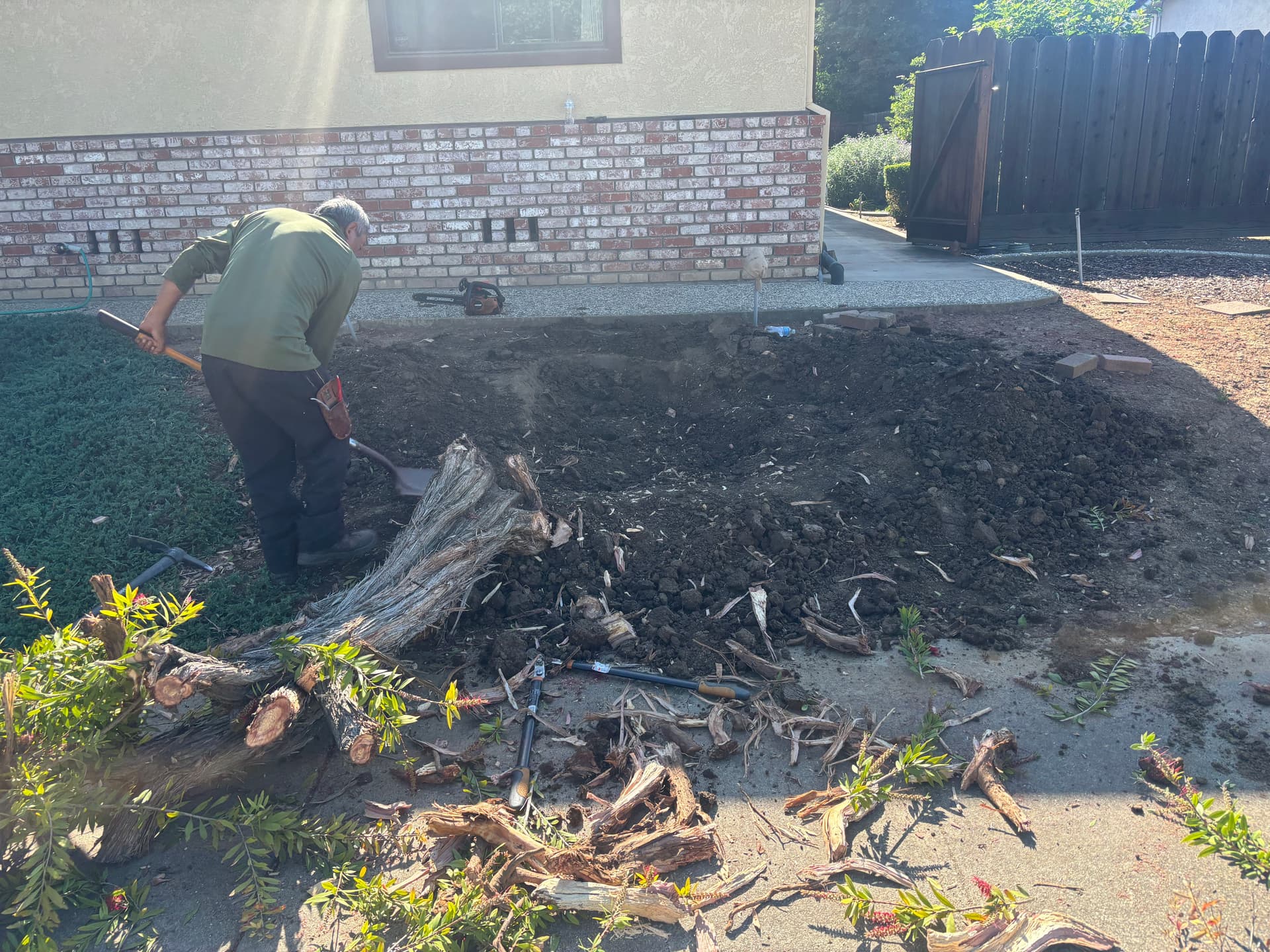 Gallery photos for Bottlebrush Tree Removed Root and All from This Front Yard: Image #3