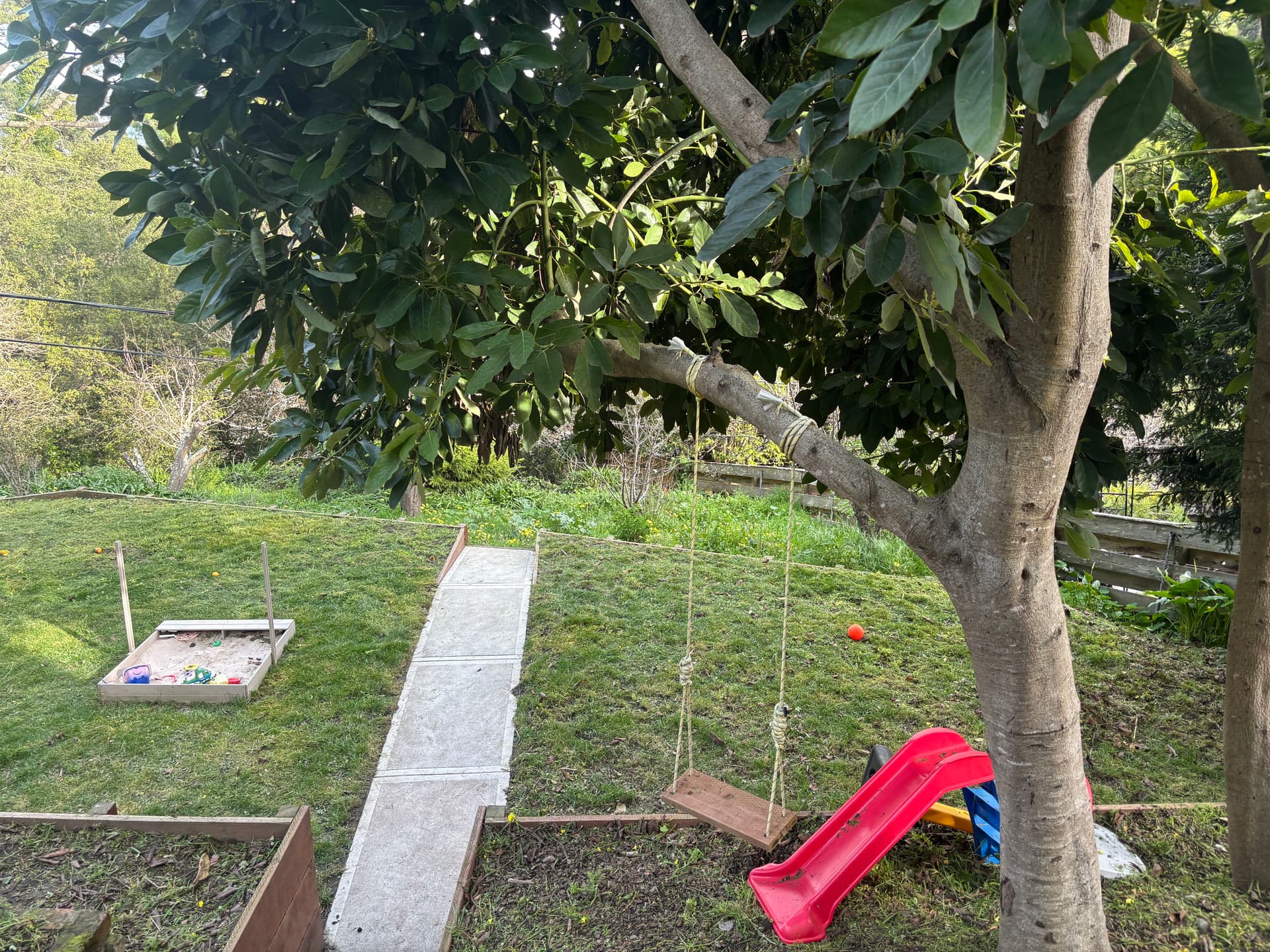 Gallery photos for Backyard Makeover at Its Best: Image #1