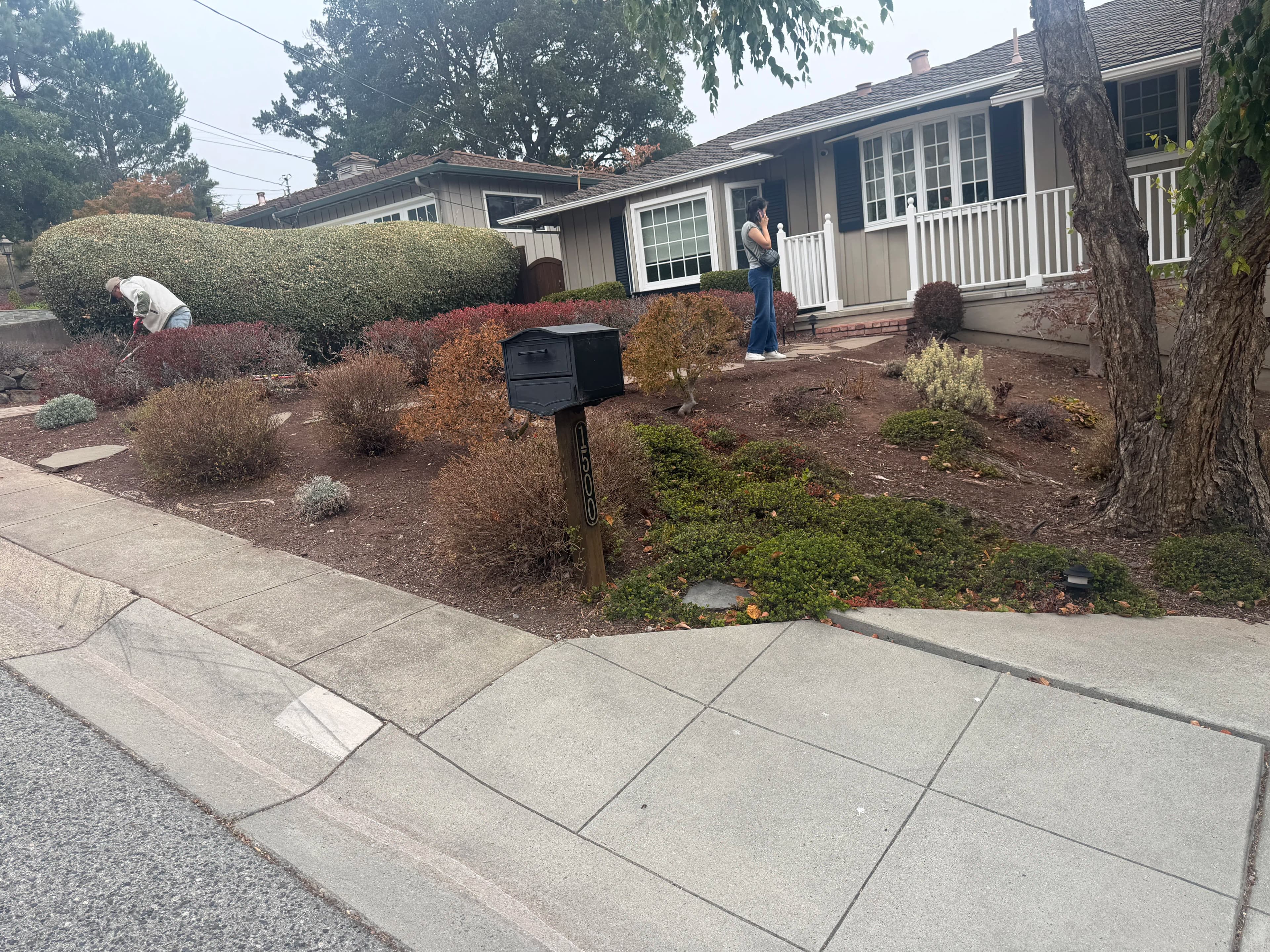Project Front Yard Landscape Refresh In Progress - New Plantings Going In image