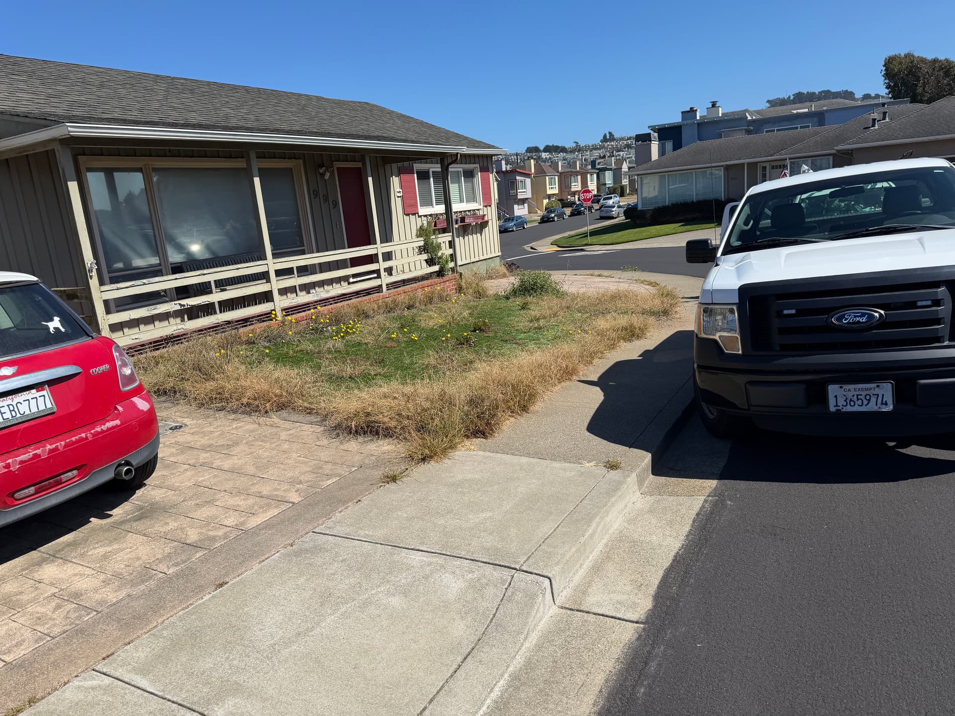 Weed Cleanup on a Residential Artificial Grass Yard image