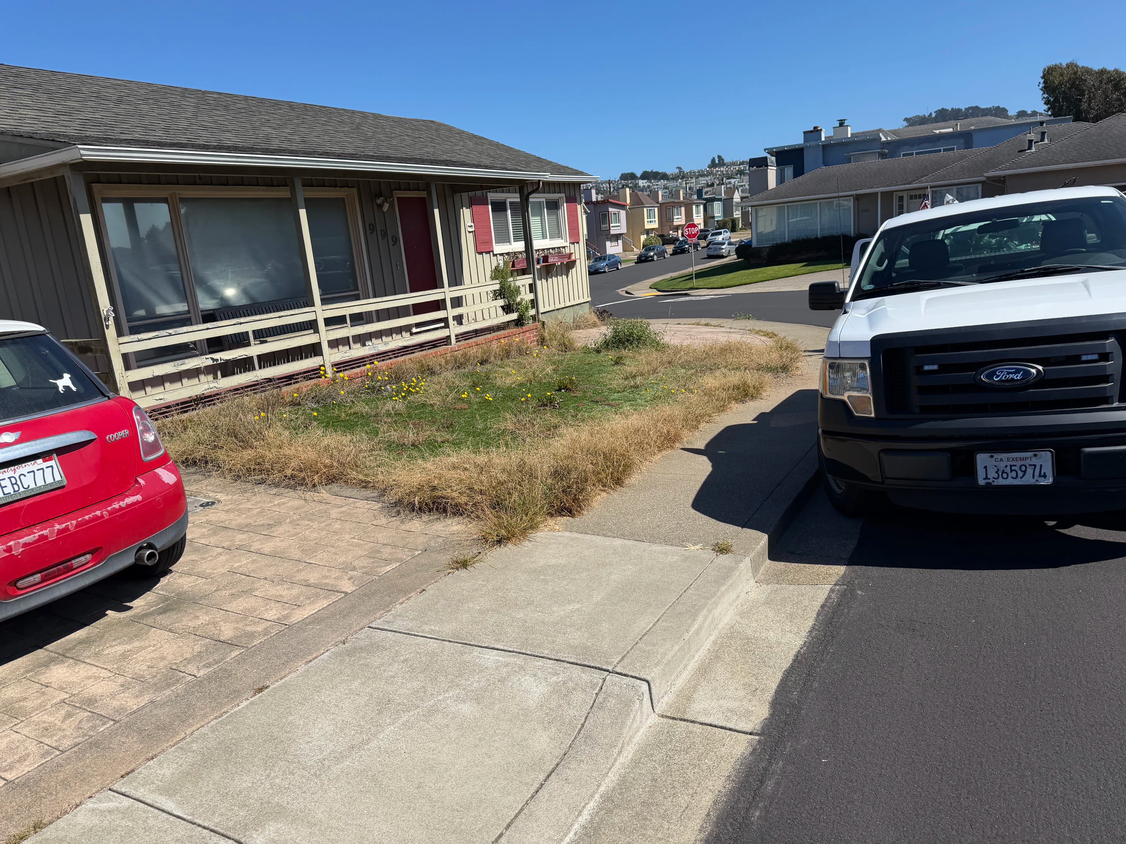 Project Weed Cleanup on a Residential Artificial Grass Yard image