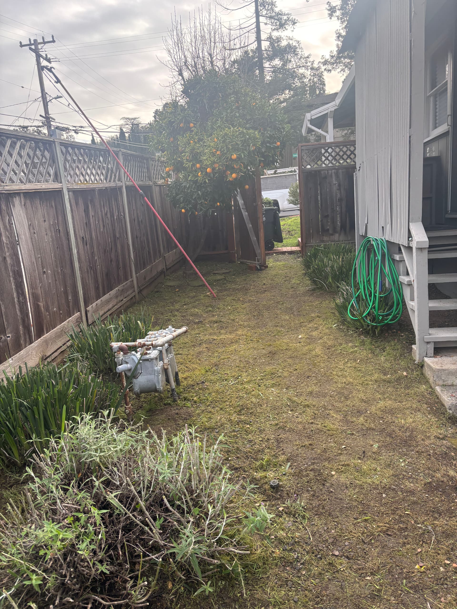 Gallery photos for Garden Revival for a New Season: Image #1