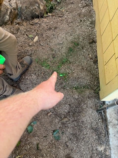 Efficient Irrigation System Installation