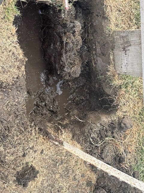 Revitalizing Irrigation Systems for Optimal Garden Health