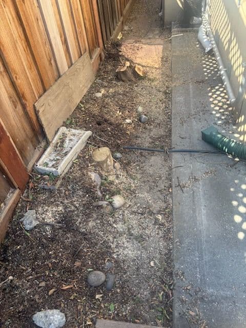 Gallery photos for Revitalize Your Yard with Expert Tree Removal: Image #2