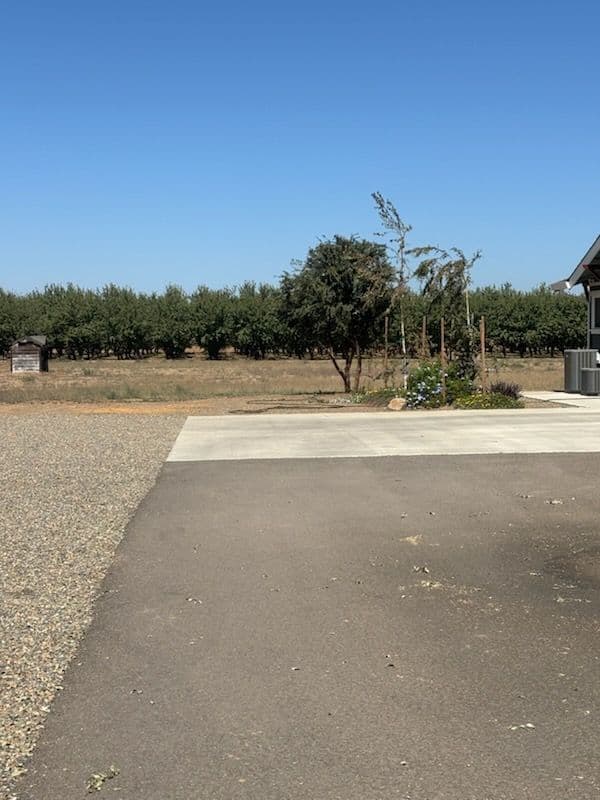 Rural Landscaping Mastery with Scenic Tree Pruning image