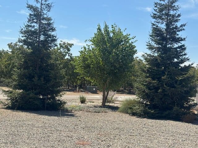 Gallery photos for Rural Landscaping Mastery with Scenic Tree Pruning: Image #1
