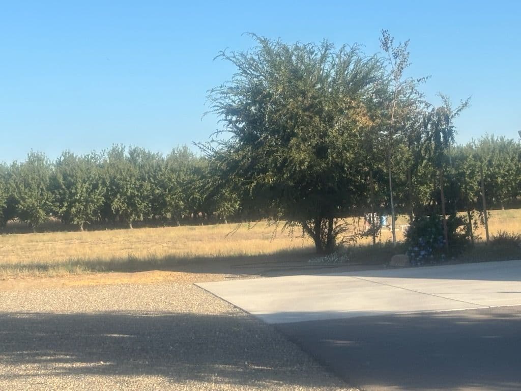 Gallery photos for Rural Landscaping Mastery with Scenic Tree Pruning: Image #3