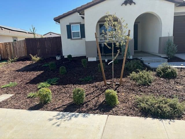 Stunning Front Yard Transformation with Fresh Mulch image