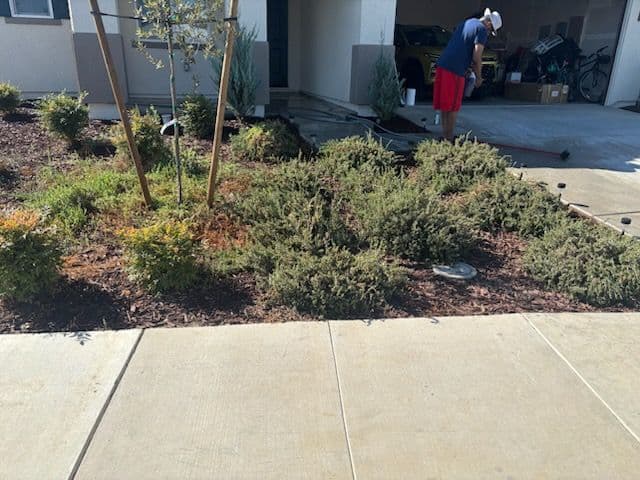 Gallery photos for Stunning Front Yard Transformation with Fresh Mulch: Image #1