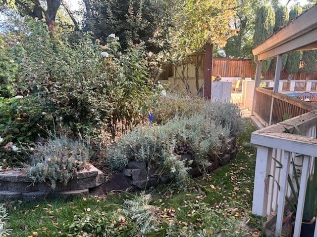 Beautiful Stone Retaining Walls and Garden Oasis image