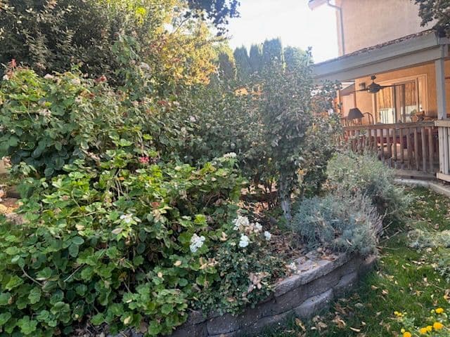 Gallery photos for Beautiful Stone Retaining Walls and Garden Oasis: Image #1