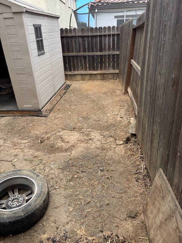 Backyard Makeover: From Dry Chaos to Relaxing Oasis image