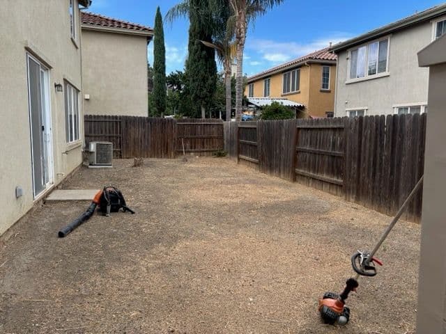 Gallery photos for Backyard Makeover: From Dry Chaos to Relaxing Oasis: Image #1