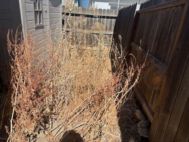 Gallery photos for Backyard Makeover: From Dry Chaos to Relaxing Oasis: Image #2