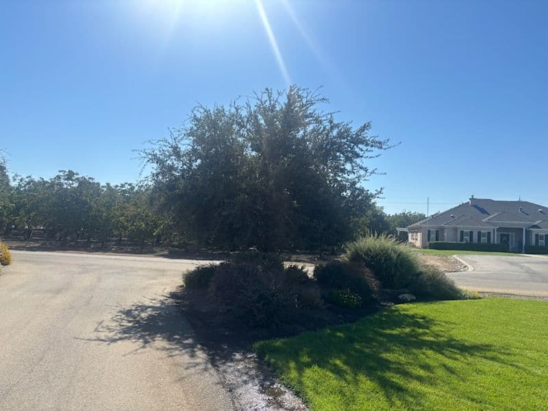 Gallery photos for Landscaping Brilliance in Action: Image #2