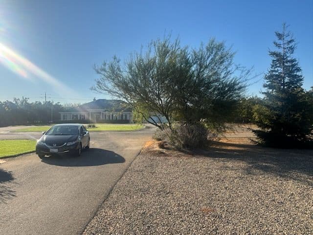 Gallery photos for Landscaping Brilliance in Action: Image #3