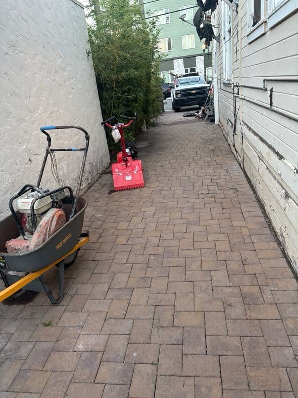 Project Transforming Outdoor Chaos into a Charming Patio image