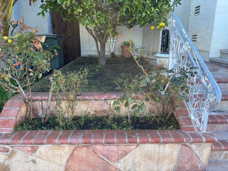 Garden Makeover with Brickwork and Greenery