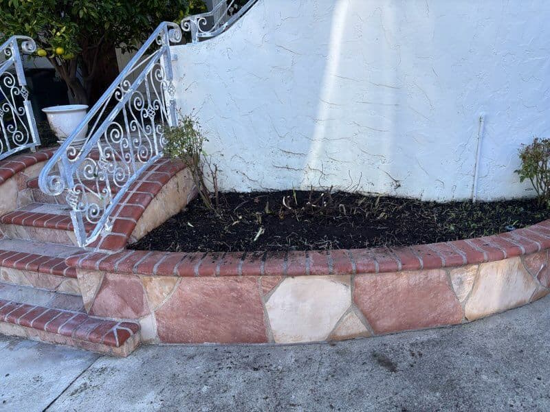 Gallery photos for Garden Makeover with Brickwork and Greenery: Image #1