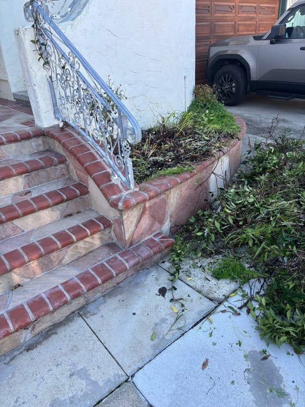 Gallery photos for Garden Makeover with Brickwork and Greenery: Image #2