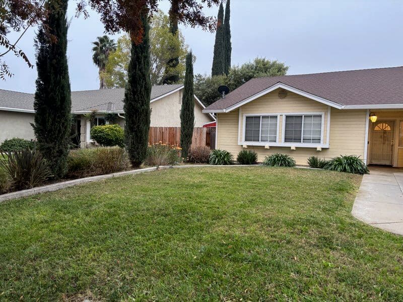 Project Lawn Makeover for a Neat Finish image