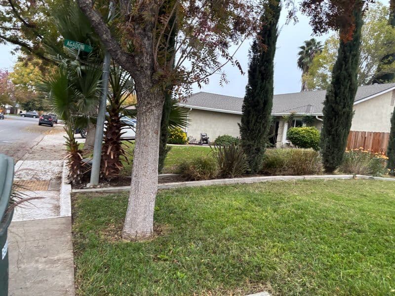 Lawn Makeover for a Neat Finish