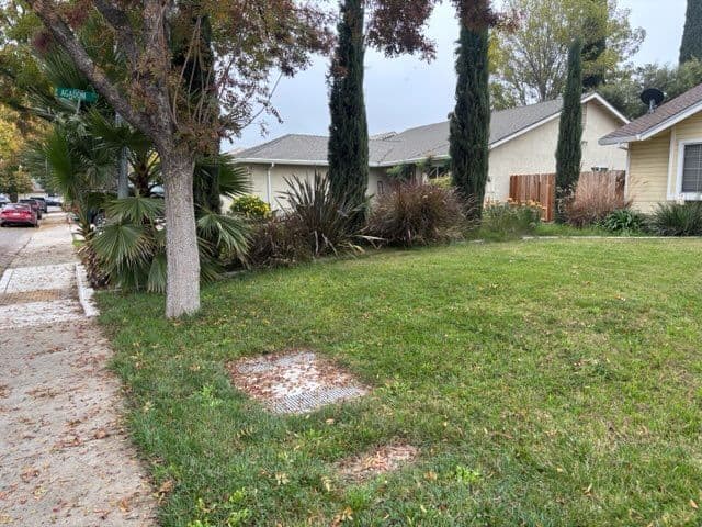 Gallery photos for Lawn Makeover for a Neat Finish: Image #3