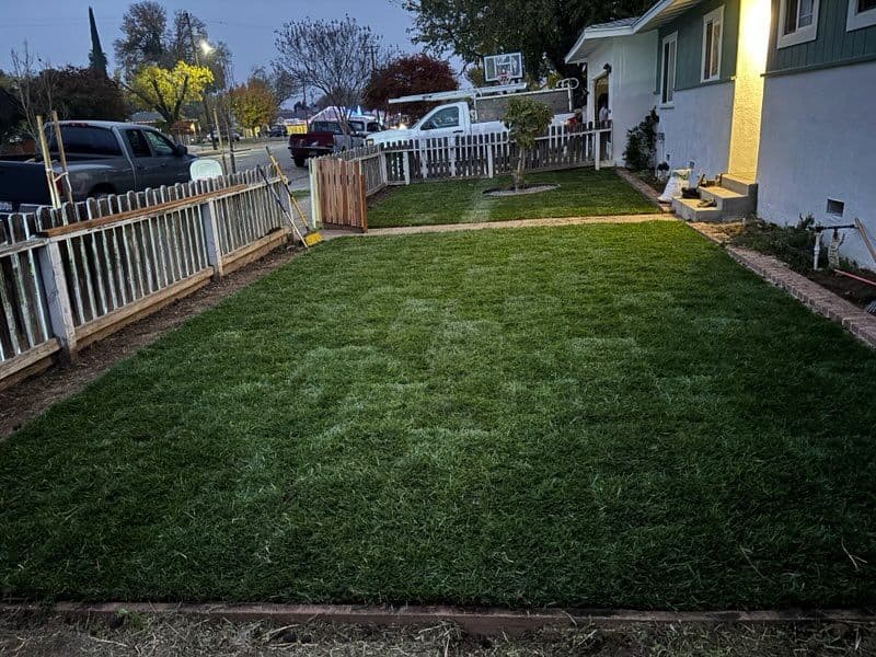 Project Transforming Patchy Grass with Fresh Sod Installation image
