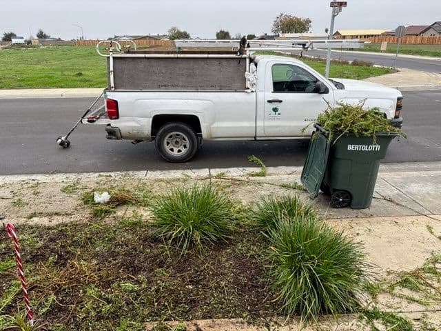 Project Yard Cleanup Success in Your Neighborhood image