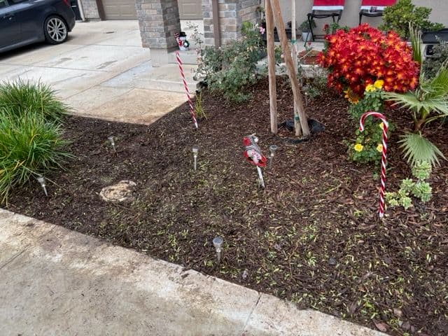 Gallery photos for Yard Cleanup Success in Your Neighborhood: Image #1